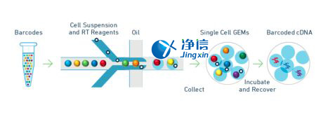 中國(guó)人自己的微流控單細(xì)胞測(cè)序儀來了！_微流控Drop-seq,微流控技術(shù)