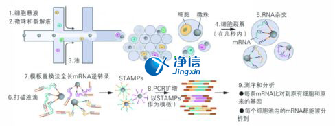 中國(guó)人自己的微流控單細(xì)胞測(cè)序儀來了！_微流控Drop-seq