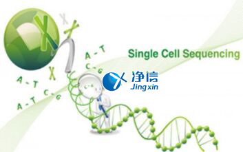 中國(guó)人自己的微流控單細(xì)胞測(cè)序儀來了！_微流控Drop-seq,微流控技術(shù)