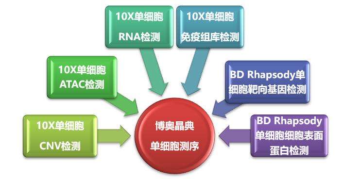 單細(xì)胞測(cè)序技術(shù)及其在傳染病研究領(lǐng)域中的應(yīng)用講解